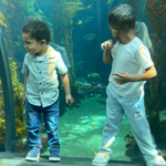 The Importance of a Holistic Curriculum in Early Childhood Education