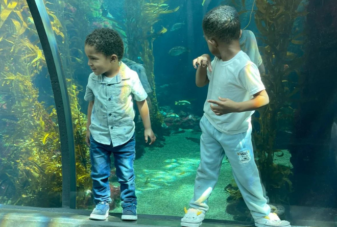 Junior Kindergarten Program